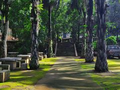-野象谷景区