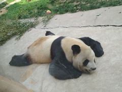 -西安秦岭野生动物园