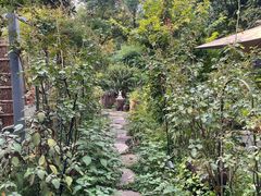 -谷咖啡·鲜花绿植花园餐厅