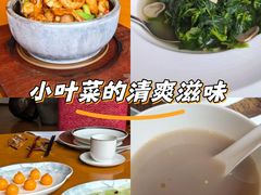 -广州富力君悦大酒店空中花园