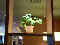 -COSTA COFFEE(新奥购物中心店)