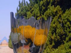 -上海市龙华烈士陵园