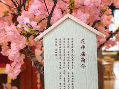 -茶马花街(城西银泰城店)