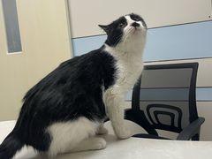 -中农国际动物医院24小时·猫科·骨科·急重症中心