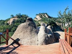 -大岭沟猕猴桃谷风景区