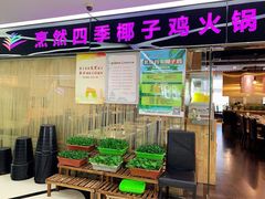 -烹然四季椰子鸡火锅(团结湖总店)