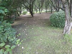 -平房公园