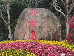 -野狸岛