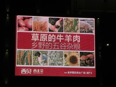 电子广告屏-西贝(金桥店)
