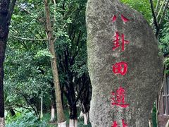-八卦田遗址公园