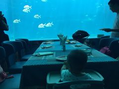 -瑞德姆美人鱼海底演艺主题餐厅(亚龙湾店)
