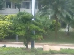 校園綠化-广州老年大学