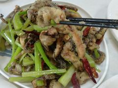 干煸鱿鱼须-昱德来·天津菜(河西店)