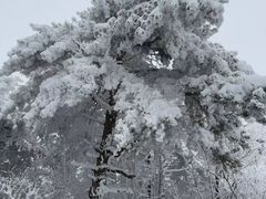-湖州龙王山景区