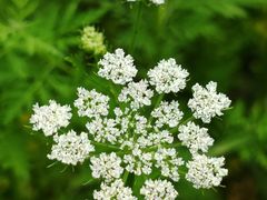 -北京金海湖景区