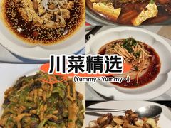 -眉州东坡(团结湖店)