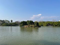 -江心屿景区