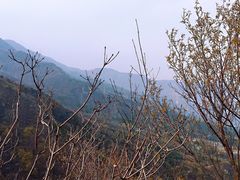 -北京鹫峰国家森林公园