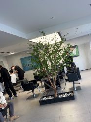 -付军剪艺JF ProSalon