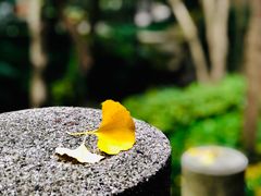 -汇龙潭