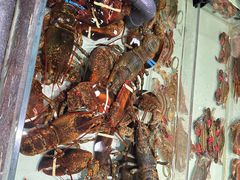 -万龙洲海鲜(大兴绿地缤纷城店)