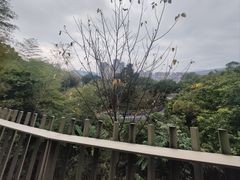 -福道