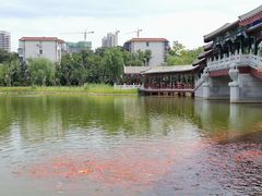 -西海子公园