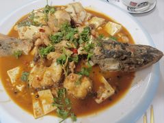 -煲来饱去冷水鱼