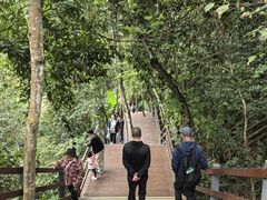 -西双版纳原始森林公园