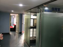 -甄爱宠物医院(疏影路店)