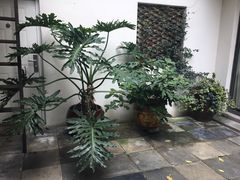 -花迹(富春江东街店)