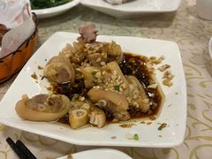 -百利鸽王(紫薇路店)