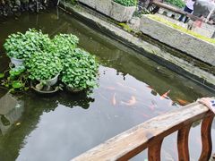 -天怡·鱼工厂(临江店)