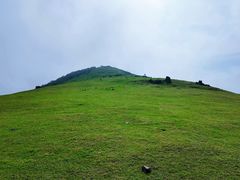-大姆山草场