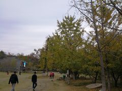 -千年银杏谷文化旅游区