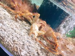 -盒马鲜生(悠方店)