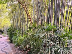 -人民公园(罗湖区)