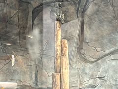 -武汉动物园