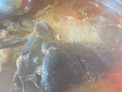 鲶鱼酸汤鱼锅-弘烨 贵州酸汤 鱼火锅(东财店)