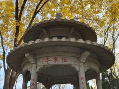 -玲珑塔公园