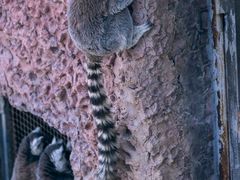 -济南野生动物世界