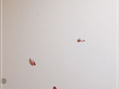 -道顺射箭·团建·骑射(张杨路店)