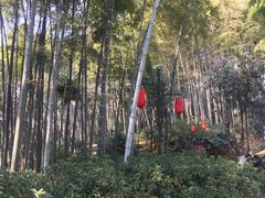 -杭州黄龙洞