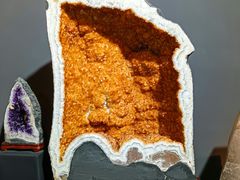 -烟台自然博物馆