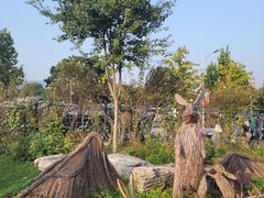 -北京西山国家森林公园