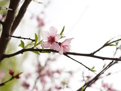 -九里河湿地公园