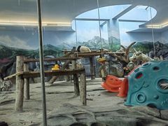 -武汉动物园