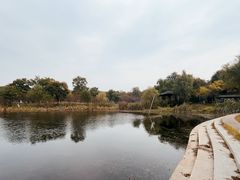 -东湖落雁景区