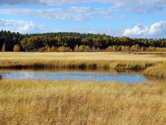 -塞罕坝国家级自然保护区