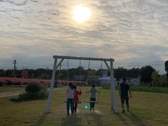 -鹅湖玫瑰文化园